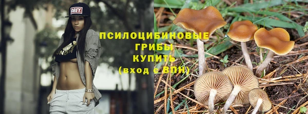 амф Абаза