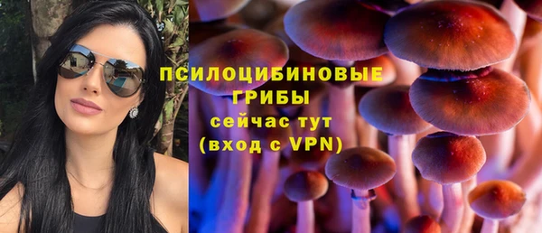 амф Абаза