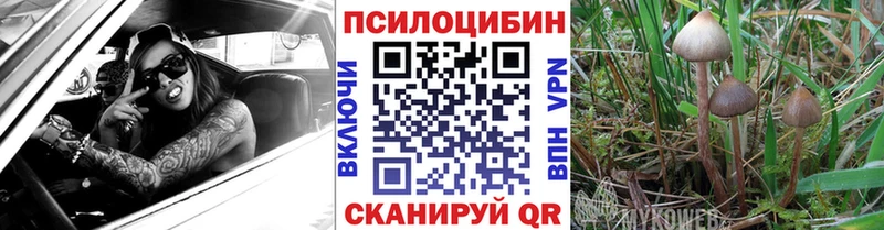 Псилоцибиновые грибы Magic Shrooms  наркотики  Челябинск 